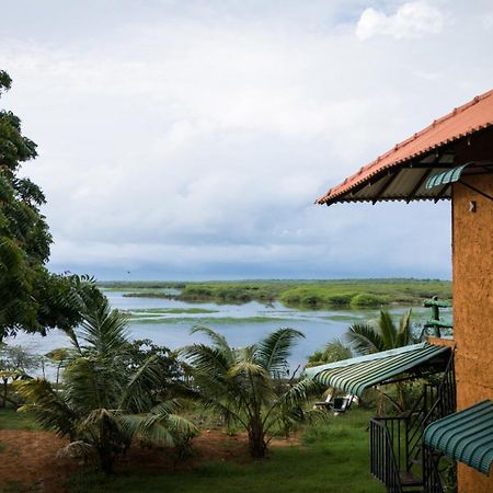 Hotel Bundala Flamingo Cotteges Hambantota Exterior foto