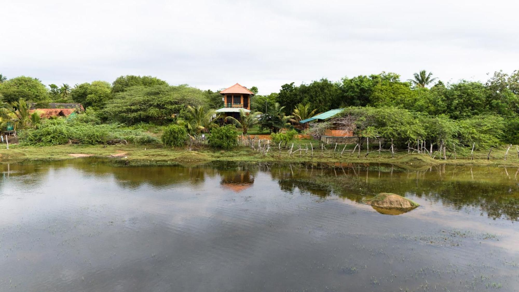 Hotel Bundala Flamingo Cotteges Hambantota Exterior foto